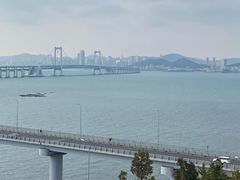 -星海湾跨海大桥