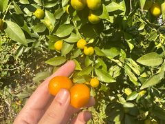 -狼山风景名胜区