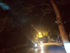 -糯米包油条(武汉大学店)