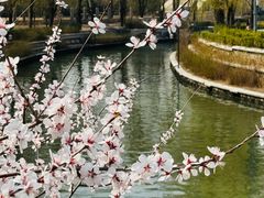 -皇家御河游(紫御湾码头)