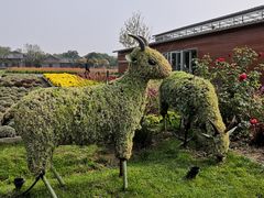 -味千拉面(双井店)