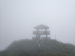 -大围山国家森林公园
