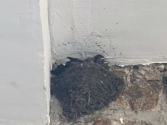 -莫尔道嘎国家森林公园