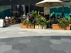 -去茶山(成都万象城店)
