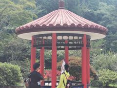 -庐山风景区花径公园