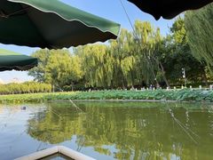 -莲花池公园