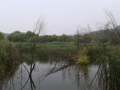 -西湖风景区-江洋畈生态公园