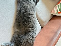 -百一大地锅(香福路店)