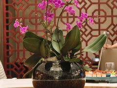 -金河半岛园林酒家(金融城店)