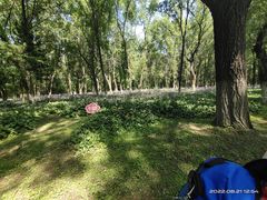 -长白岛森林公园