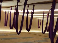 -W FITNESS 威尔仕健身·游泳(老西门新苑店)