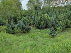 -昂昂溪遗址博物馆