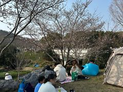 -羊山湖公园