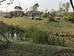 -王借岗森林公园