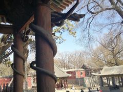 -晋祠公园