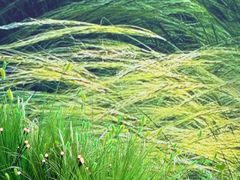 -龙湖重庆时代天街