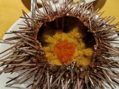 -晶吉·居酒屋·烧鸟·生鱼饭(中山区民主广场店)