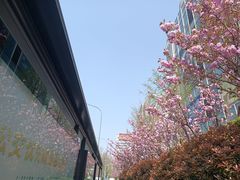 -济南富力凯悦酒店