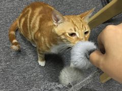 -青沐画室·专业美术培训