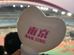 -南京奥林匹克体育中心