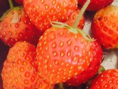 -镜泊小镇(东长安街店)