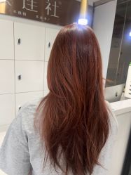 -镁连社·美联社