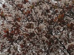 -南通博物苑-崇川人民公园