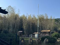 -大唐贡茶院
