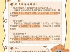 -美迦爱-牙专科·兔科·骨科诊疗中心(北苑店)