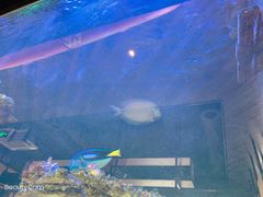 -暹罗酒肆泰餐厅酒吧