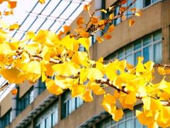 -大连外国语大学(旅顺校区)