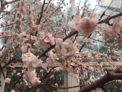 -北京鹫峰国家森林公园
