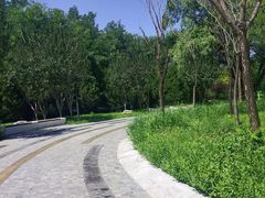 -北坞公园