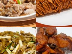 -昆山城市生态森林公园