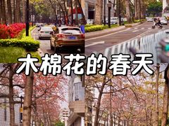 -烈士陵园(地铁站)