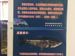 -千岛湖鱼味馆(十字街总店)