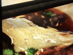 -川道拐耗儿鱼(置信路店)