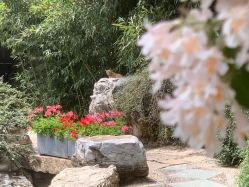 -颐和宾馆宴会厅