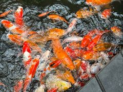 -上海大自然野生昆虫馆(东方明珠·爬宠昆虫探索中心)