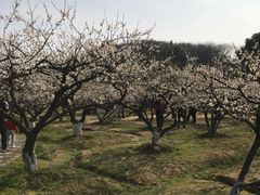 -白马涧龙池景区