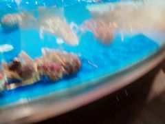 -盒马鲜生(杭州运河上街店)