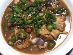 -全乐鱼馆·淳牌有机鱼直营店
