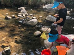 -碓臼峪自然风景区