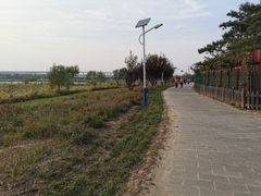 -绿堤公园