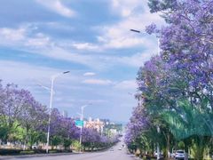 -安宁市宁湖森林公园