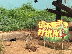 -无锡动物园·太湖欢乐园