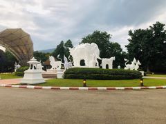 -清迈夜间动物园