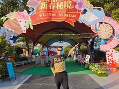 -巨鹏飞梦幻海岸
