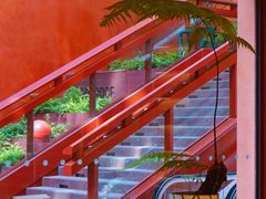 -二酉书店TOYOU BOOKS