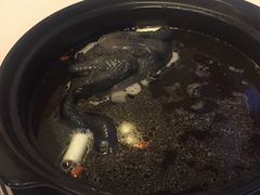 -太婆天府山珍酒楼(亚运村店)